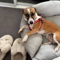 Photo of Lillie Uffelman