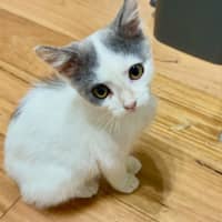 Photo of Charlie