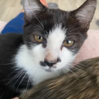 Photo of Milly
