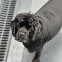 Photo of Tammy 🐶😍🦋