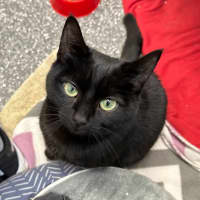 Photo of Abigale And Josie