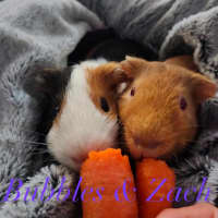 Photo of Zach & Bubbles