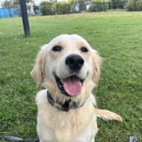 Photo of Bentley