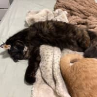 Photo of Hazel