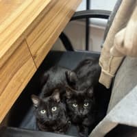 Photo of Marmite (Salem)