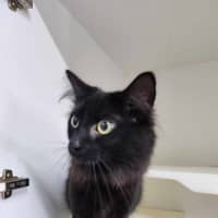 Photo of 💜 Tong 5577 💜