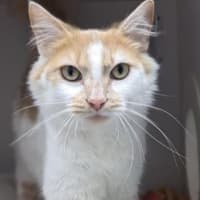 Photo of Sandy