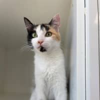 Photo of Luna