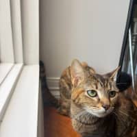 Photo of Kiko