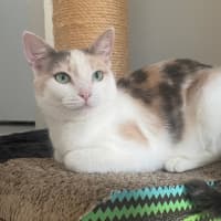 Photo of Tilly