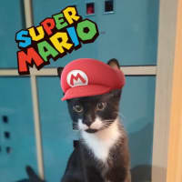 Photo of Mario