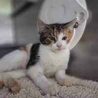 Photo of Kiki