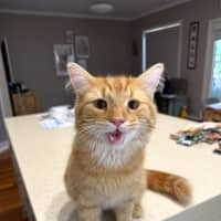 Photo of Alfonzo