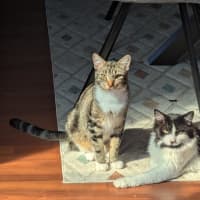 Photo of Bidey