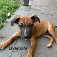 Photo of 🏘️ English Streets Litter (Part 1) 🏘️