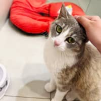 Photo of Thumbelina