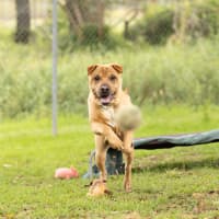 Photo of Tank