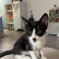 Photo of Lucy