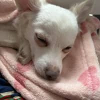 Photo of Tofu 