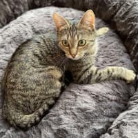 Photo of Sunny 