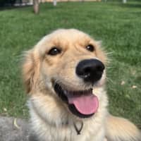 Photo of Maggie