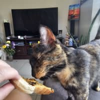 Photo of Jade Crystal