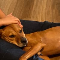 Photo of Zoe