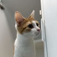 Photo of Molly
