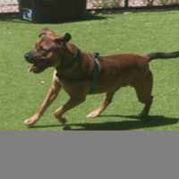 Photo of Drax