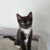 Photo of Winnie The Poo Crew