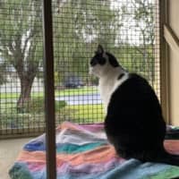 Photo of Snuggles