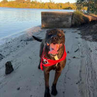 Photo of Axel
