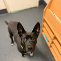 Photo of Flip