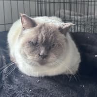 Photo of Byron 