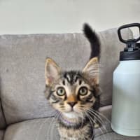 Photo of Bucket