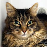 Photo of Mia Sua014644