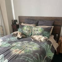 Photo of Billie And Ravioli