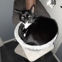 Photo of Gizmo & Monty