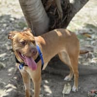Photo of Ember