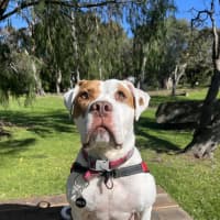 Photo of Dotti