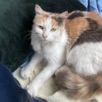 Photo of Ruth Russelton