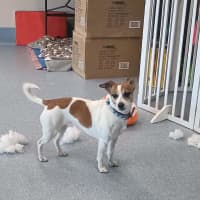 Photo of Zoe
