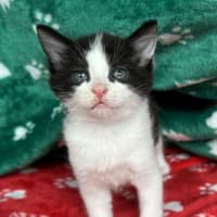 Photo of Tekapo 💙