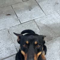 Photo of Bobby