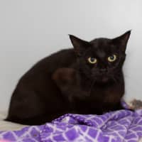 Photo of Elvira