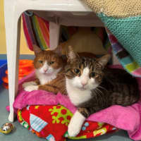 Photo of Roku And Nana