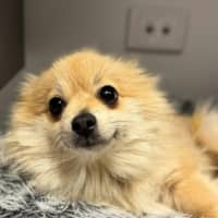 Photo of Betty