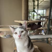 Photo of Bud