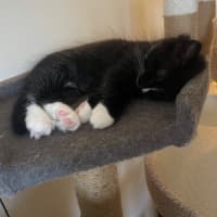 Photo of Stripe