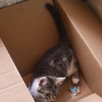 Photo of 💗 Logan 💗